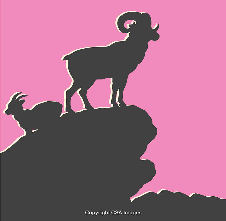 Silhouette of Mountain Goats on Rocks Against Pink Sky Artwork
