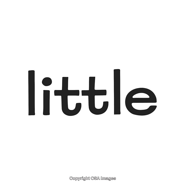 Minimalistic Typeface Design Featuring the Word 'Little' in Bold Black Font
