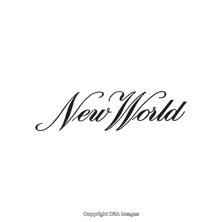 Elegant Black Calligraphy Text Spelling 'New World' on White Background