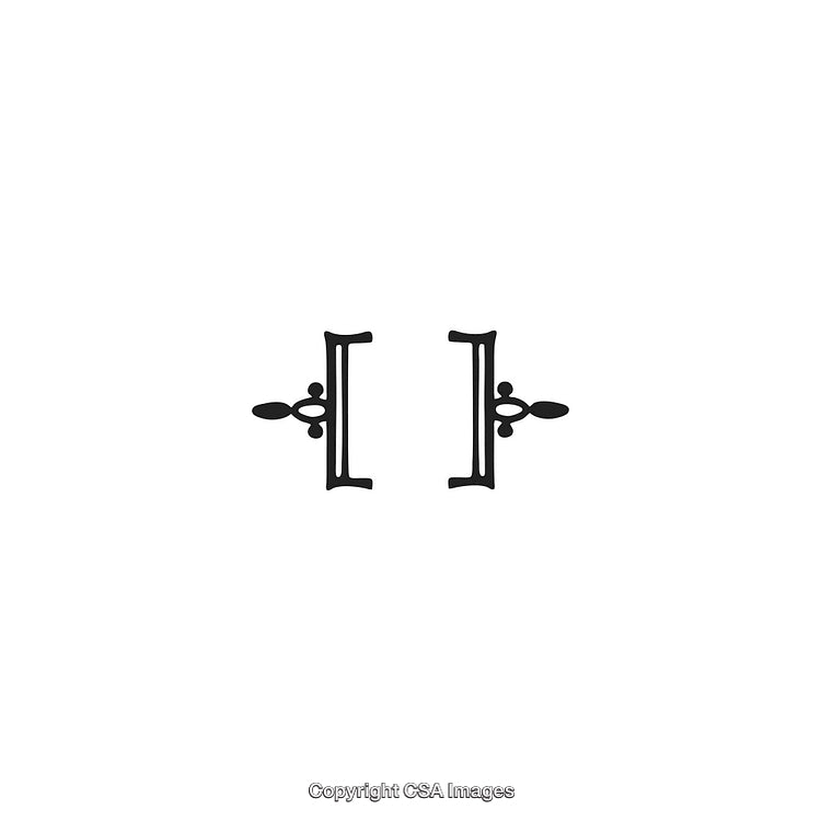 Vintage Black and White Decorative Ornament Design Elements