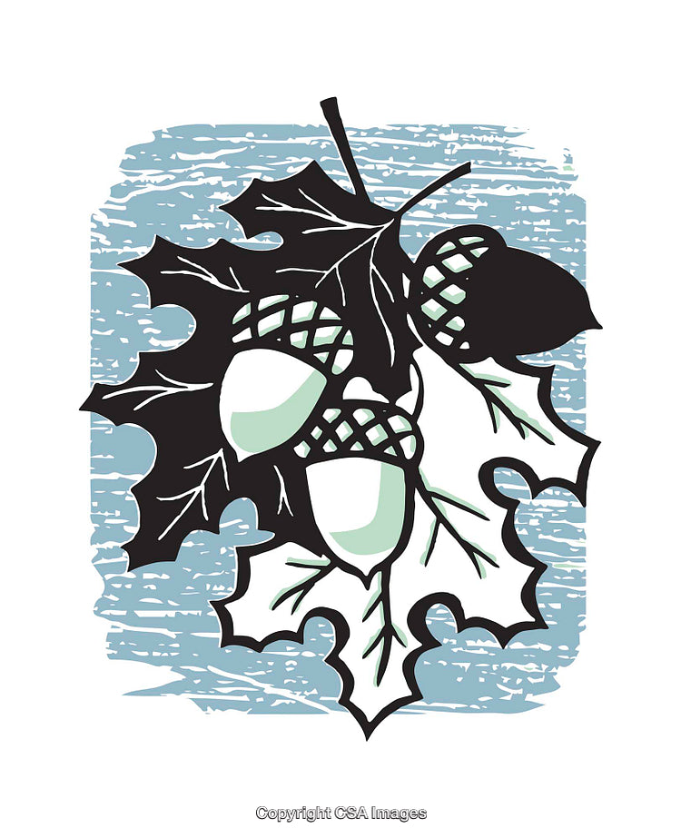 Color Illustration of Acorns and Oak Leaves with Rustic Blue Background
