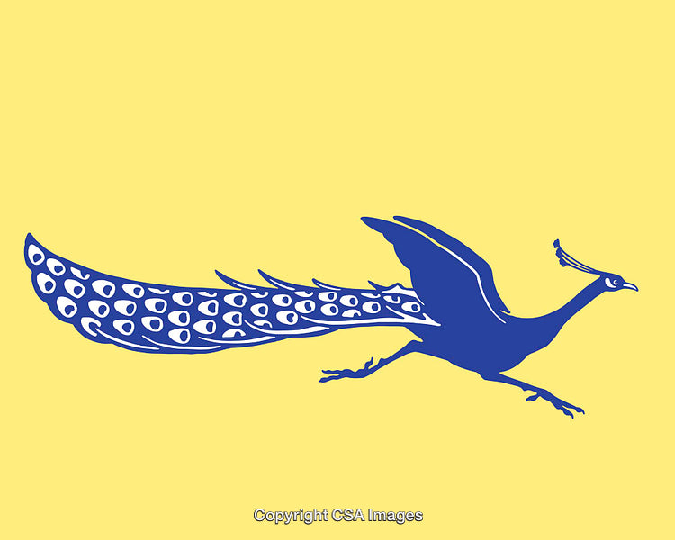 Elegant Blue Peacock Illustration on a Yellow Background