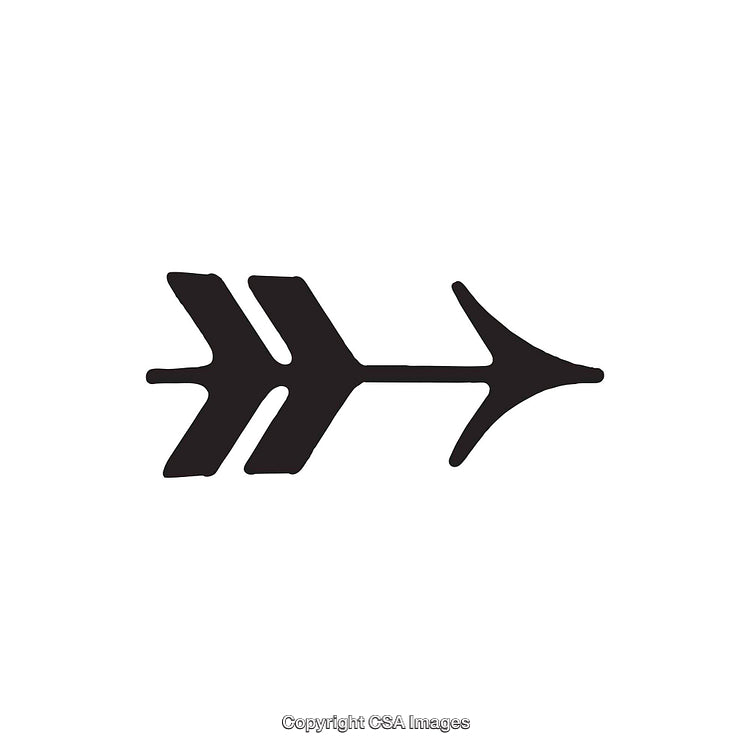 Black Arrowhead Shape with Feathers Facing Right on White Background