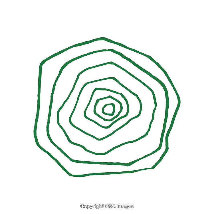Green Concentric Line Shape in Abstract Circular Pattern