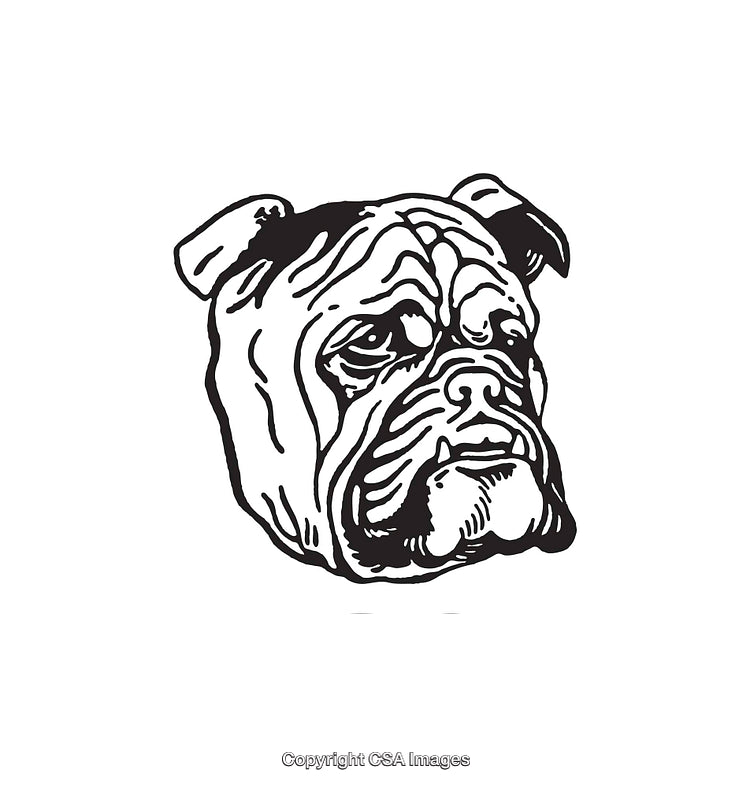 Detailed Black and White Illustration of a Bulldog Face