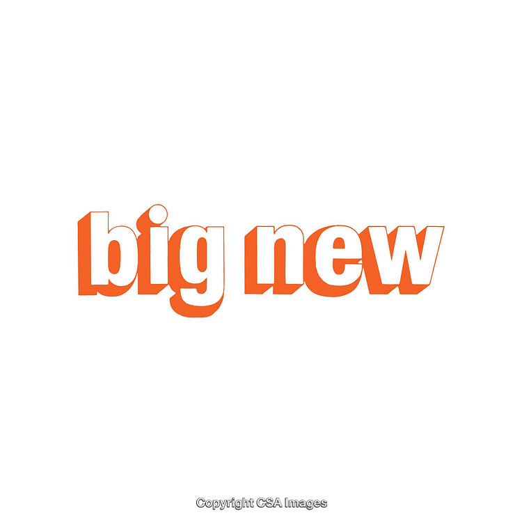 Bold Orange "Big New" Text on a Clean White Background
