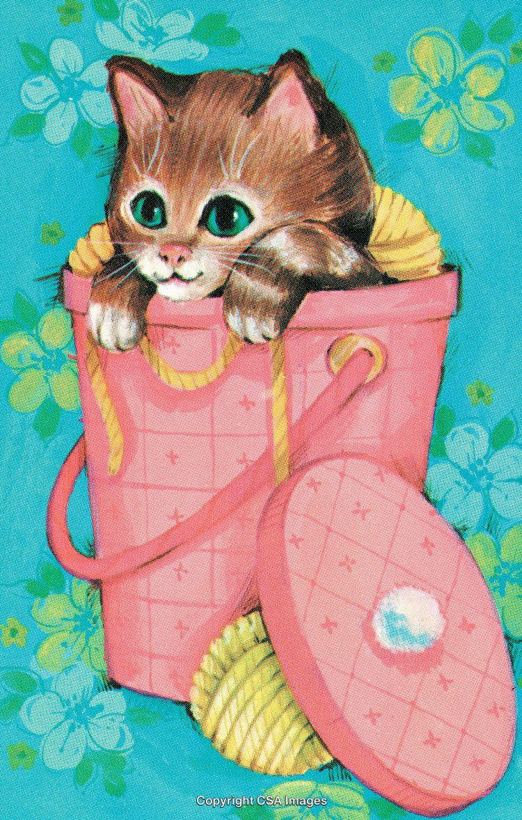 Cute Kitten in a Pink Basket on a Floral Background