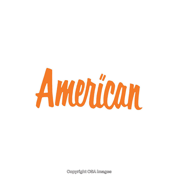 Bright Orange Script Font Displaying the Word American on White Background