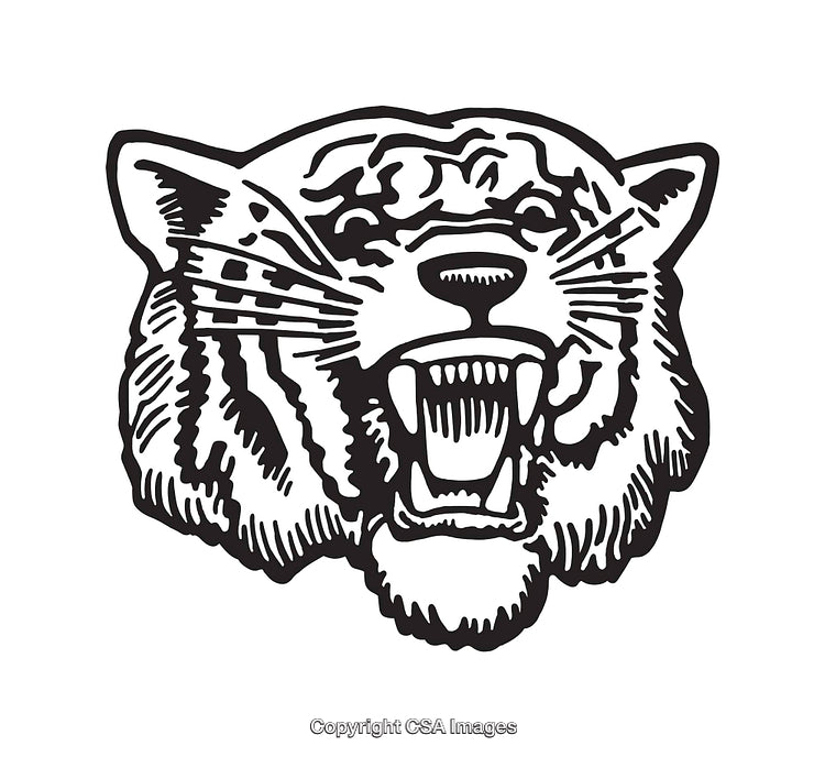 Detailed Black and White Line Art of a Roaring Tiger's Head