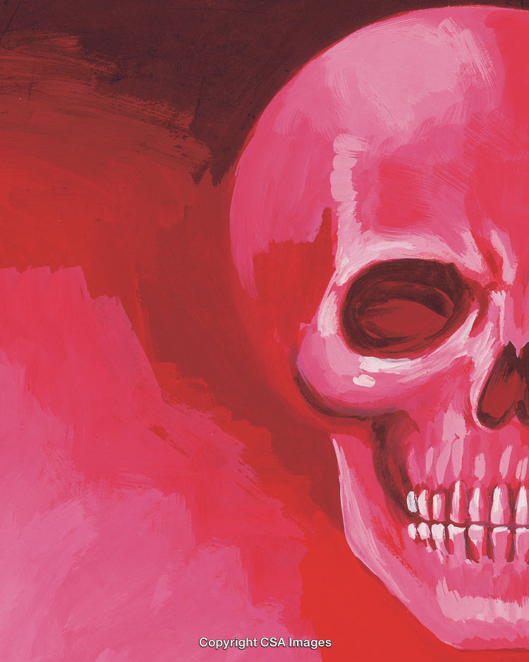 Abstract Artistic Illustration of a Pink Skull on a Red Background