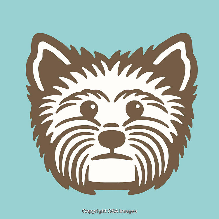 Illustration of a Yorkshire Terrier Dog on a Light Blue Background
