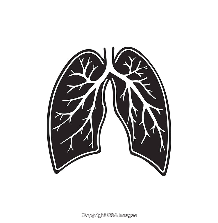 Simplistic Black and White Icon of Human Lung Anatomy