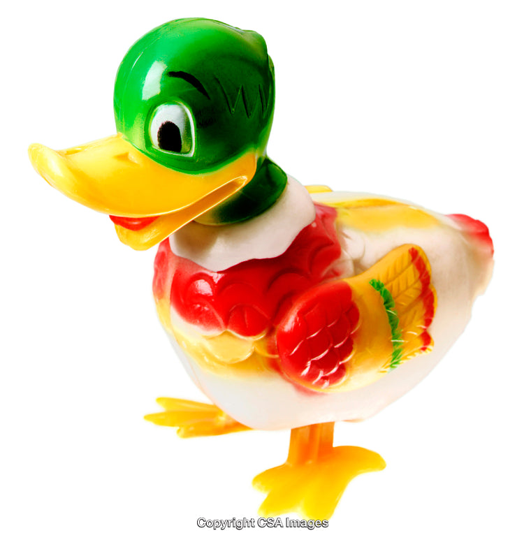 Colorful Plastic Duck Toy Figurine on White Background