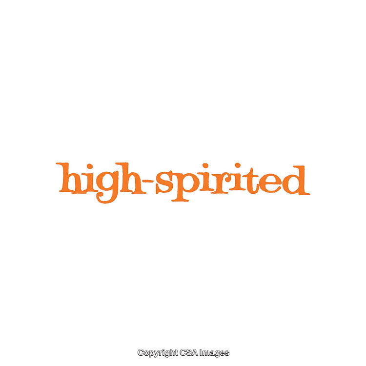 Orange Text Displaying the Energetic Phrase 'High-Spirited' on White Background