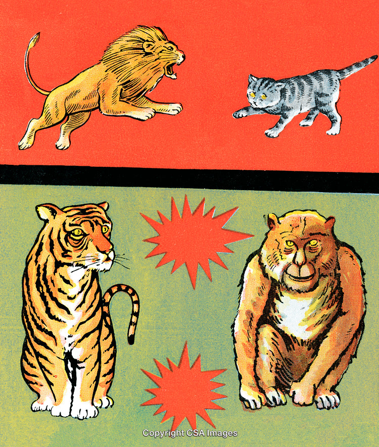 Detailed Animal Illustration Featuring Tiger, Lion, Cat, and Monkey in Bright Colors