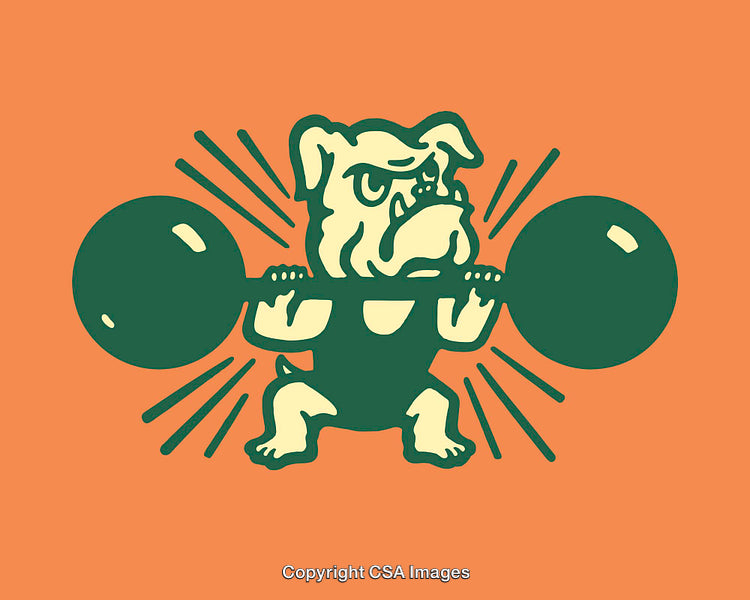 Cartoon Bulldog Weightlifting Illustration with Bold Orange and Green Colors