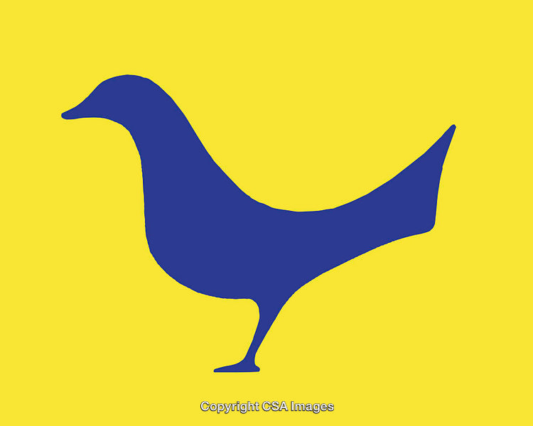Blue Bird Silhouette on Vibrant Yellow Background