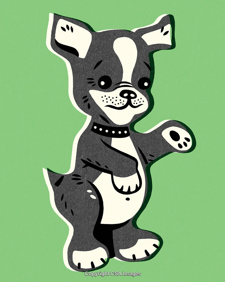 Adorable Cartoon Puppy Illustration Featuring a Black and White Dog on Green Background