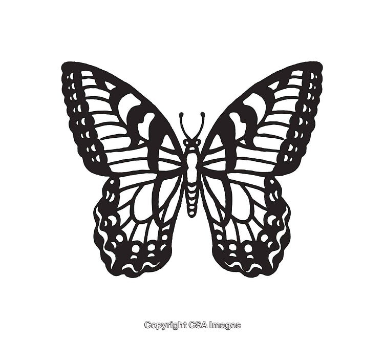 Black and White Butterfly Line Art Illustration with Intricate Details