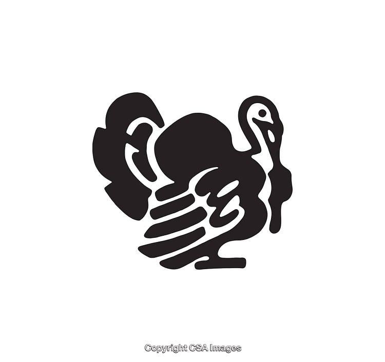 Stylized Line Art Illustration of a Turkey in Black and White