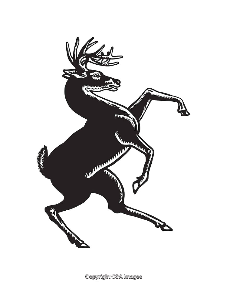 Elegant Black and White Illustration of a Stag in Motion