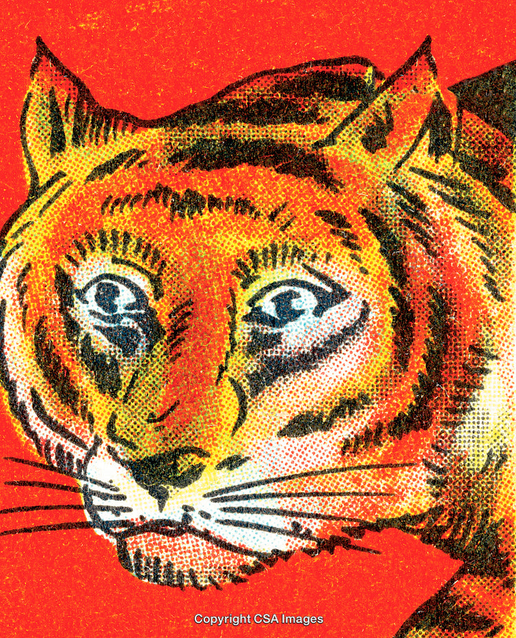 Bold Colorful Illustrated Tiger Head with Vintage Design Details