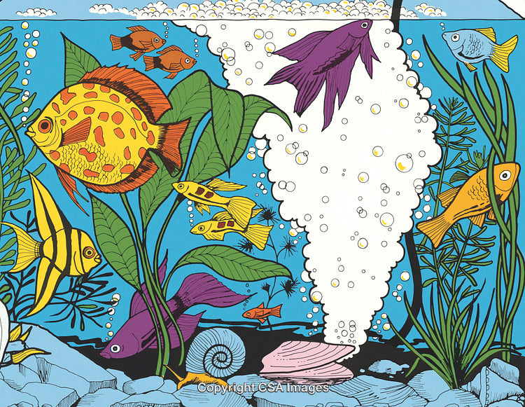 Colorful Aquarium Scene with Tropical Fish and Green Plants
