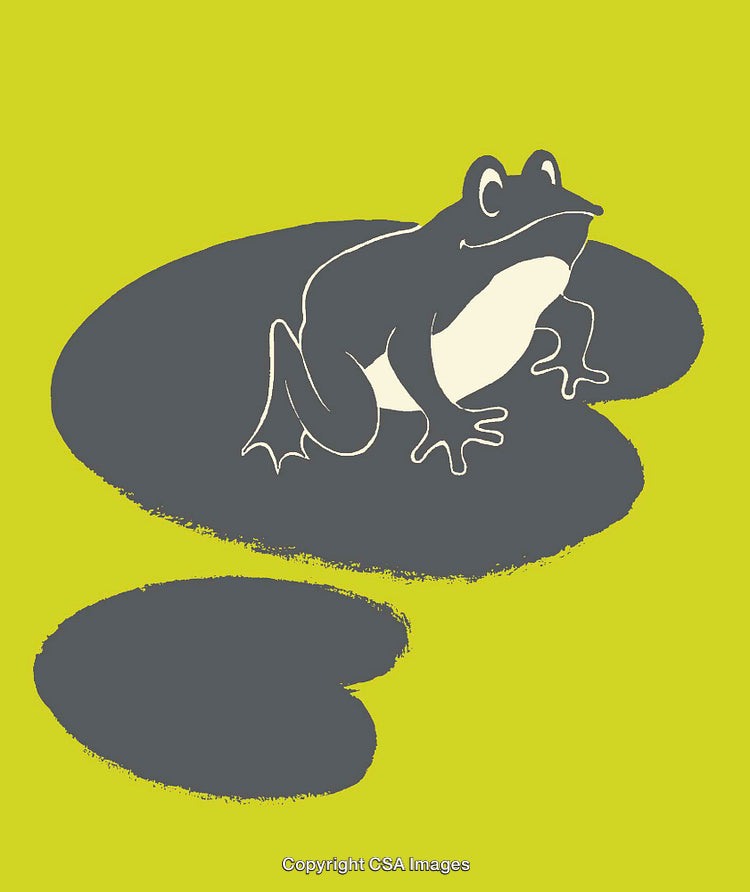 Illustration of a Frog Sitting on a Lily Pad in Vibrant Colors