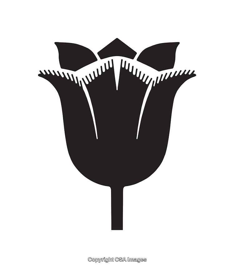 Black and White Line Art of a Stylized Flower Illustration