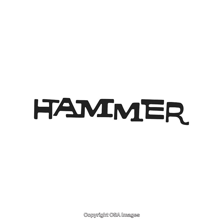 Stylized Black Text Displaying the Word 'Hammer' on White Background