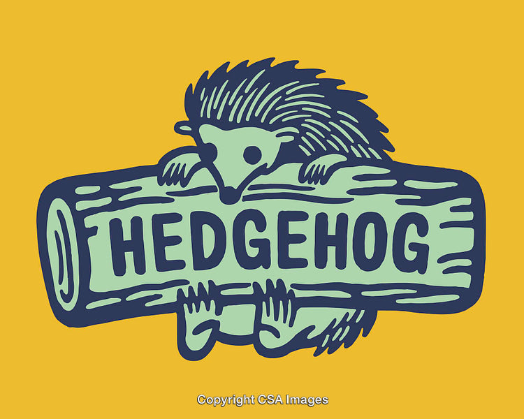 Playful Hedgehog Cartoon Illustration on Yellow Background
