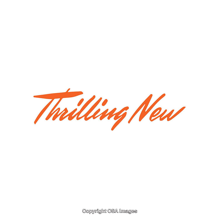 Vibrant Typography in Brushstroke Styled Orange Text on White Background