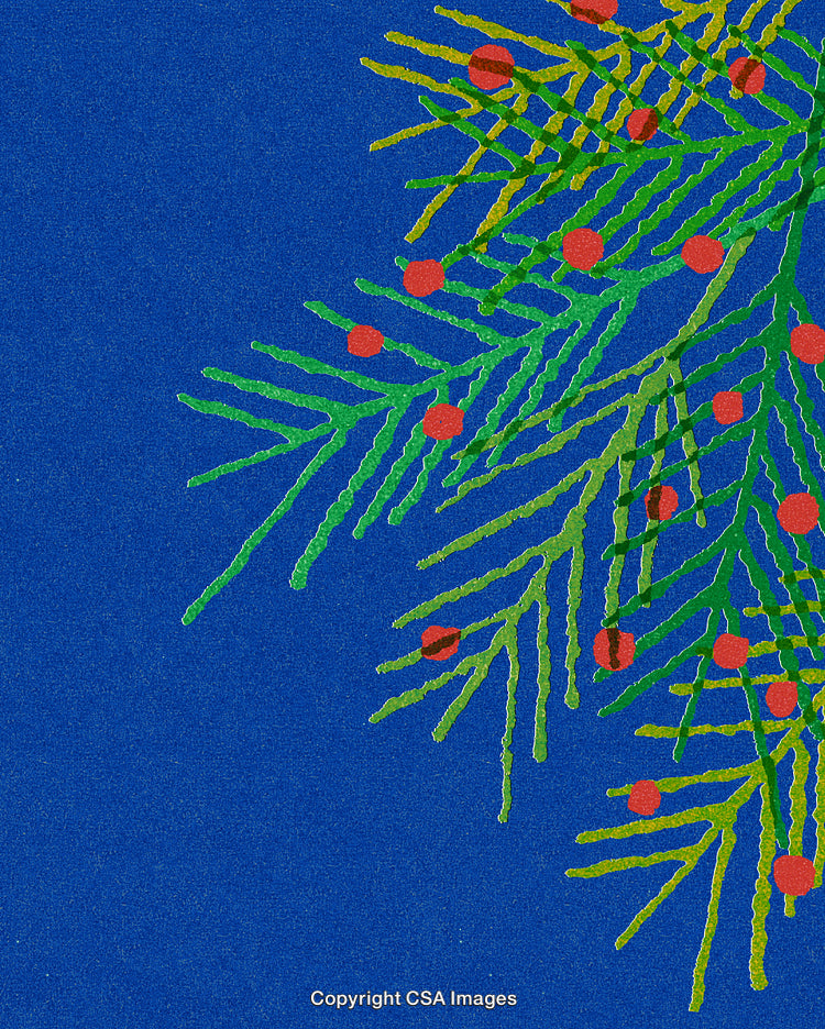 Stylized Christmas Branch with Red Berries on a Blue Background