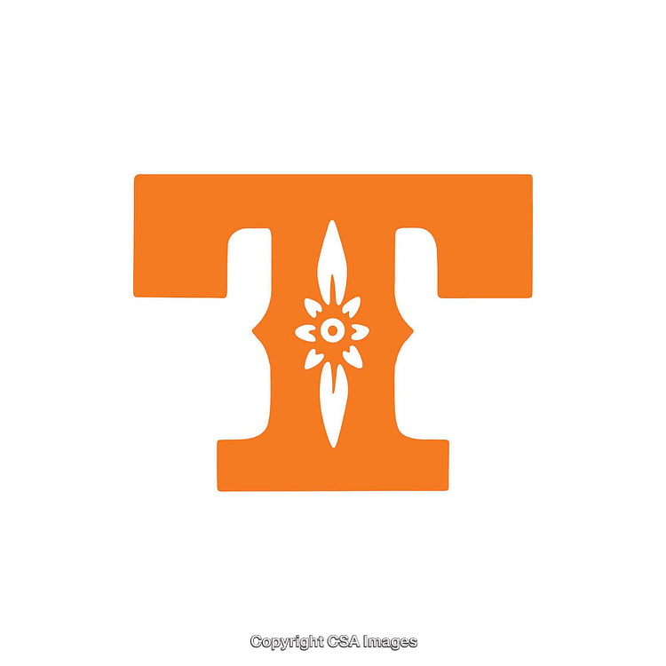 Stylized Orange Letter T with Decorative Floral Design Element