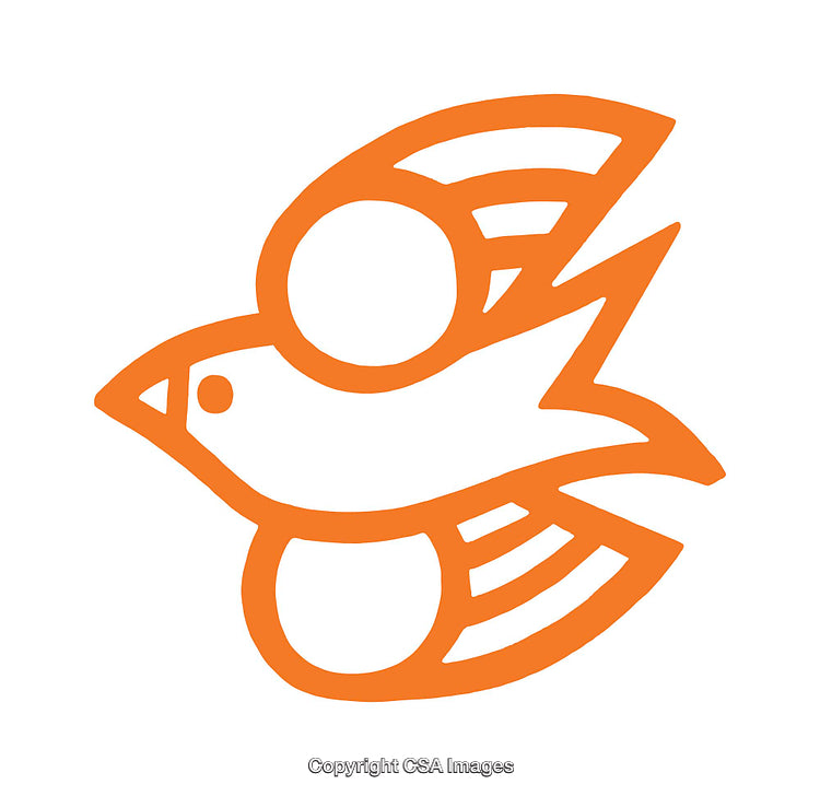 Abstract Orange Bird Icon Design with Simple Geometric Features