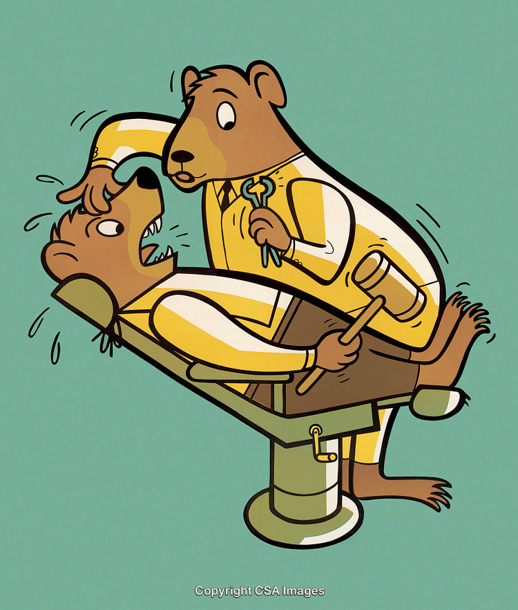 Humorous Illustration of a Bear Providing Dental Care to Another Bear