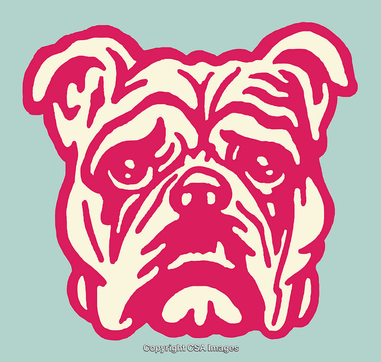 Bold Graphic Illustration of Bulldog Face in Vibrant Colors
