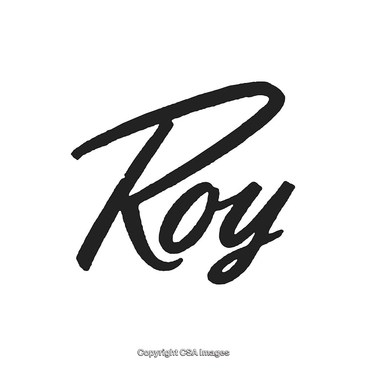 Modern Handwritten Script Displaying the Word 'Roy' on a White Background