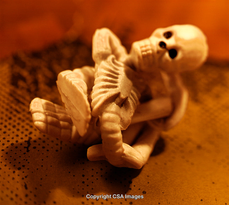 Close-Up of a Skeleton Toy Displayed in Dramatic Lighting