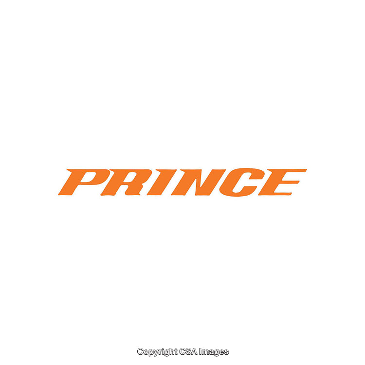 Bold Orange Typography Featuring the Word Prince on a White Background