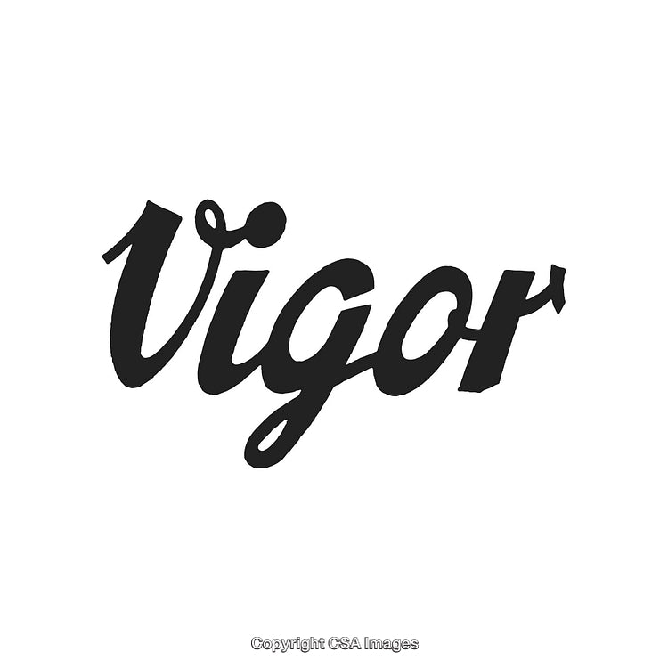 Modern Handlettered Vigor Word Design on a White Background