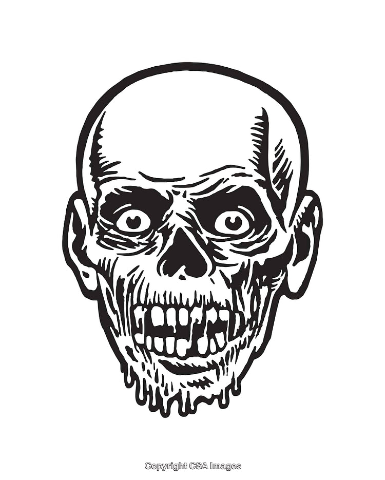 Black and White Illustration of a Skeletal Face with Detailed Features