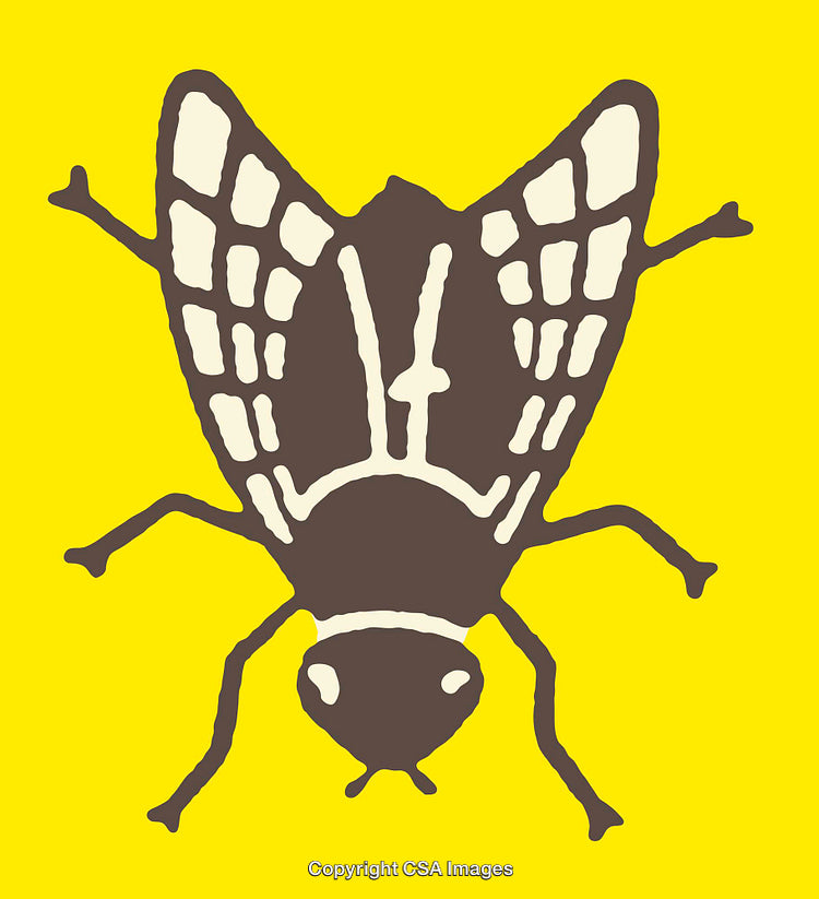 Stylized Brown Fly on Bright Yellow Background Illustration