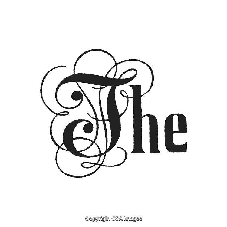 Elegant Ornamental Typography Featuring the Word The in Stylish Lettering