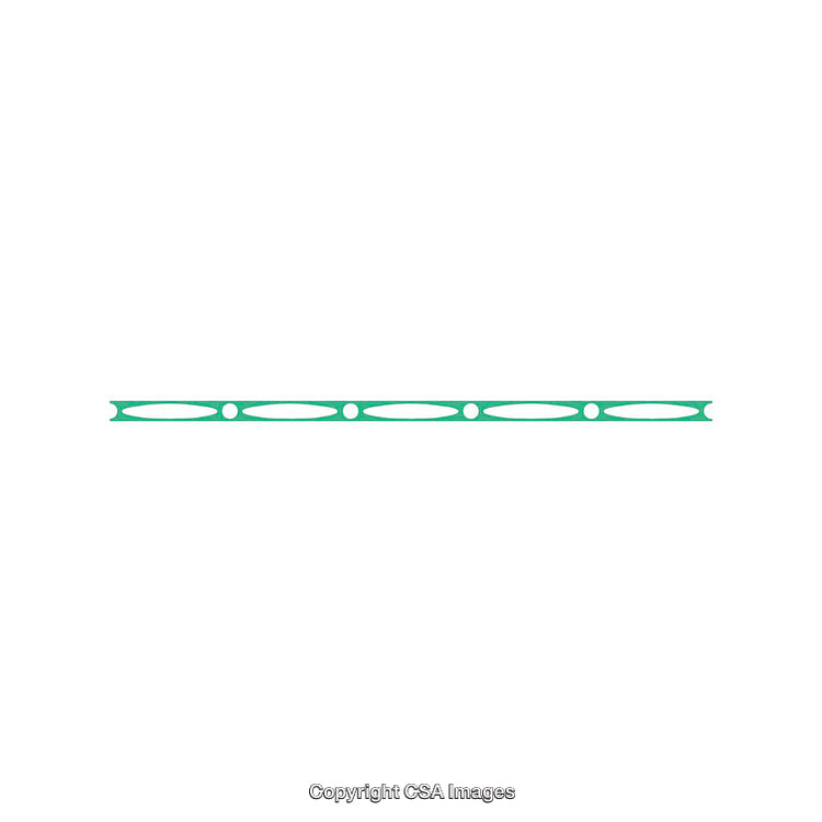 Green Line Element with Circular Designs on White Background