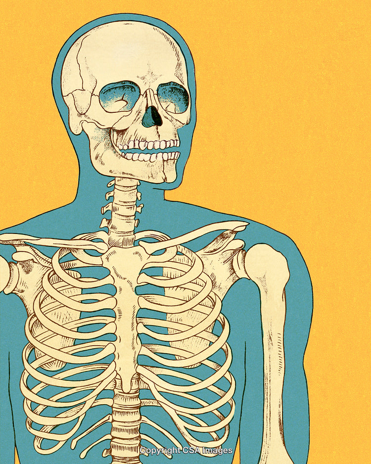 Illustration of a Human Skeleton on a Colorful Artistic Background