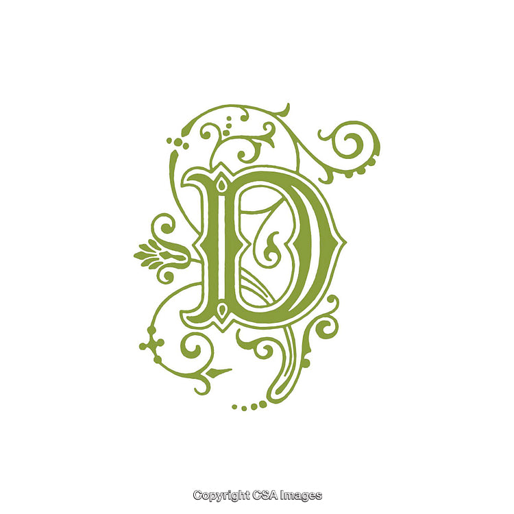 Elegant Floral Letter D With Decorative Green Vine Elements