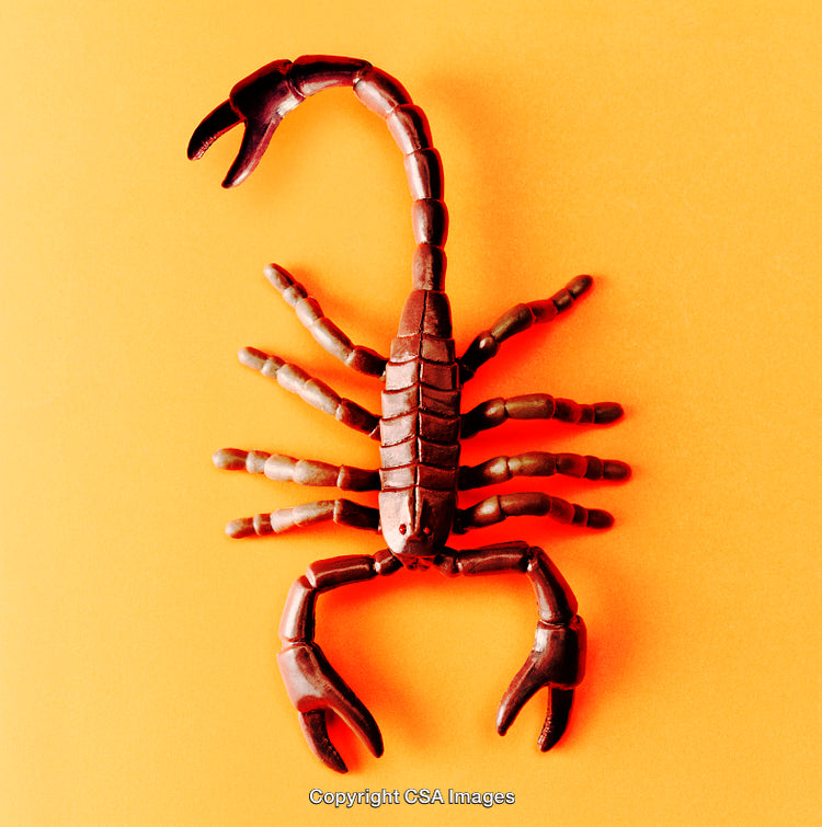 Plastic Scorpion Toy on Vibrant Orange Background
