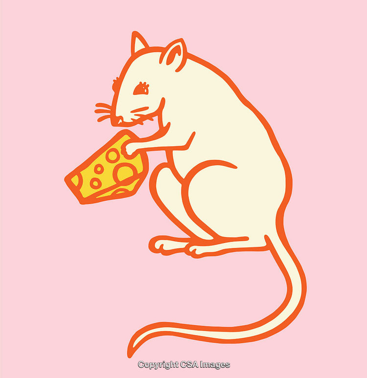 Illustration of a Cartoon Mouse Holding Cheese on a Pink Background