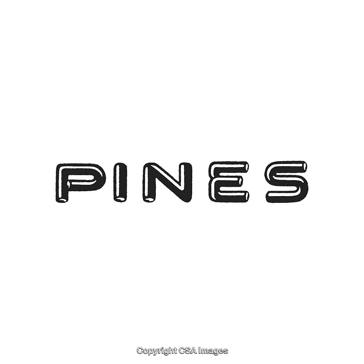 Minimalist Black And White Typography Design with Stylized Text